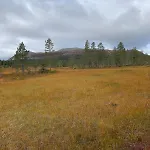 Vakantiehuis Koselig - Trysilfjellet In Og Out 4 Soverom, 2 Bad, Badstue, Fiber Bredband Og Elbillader *