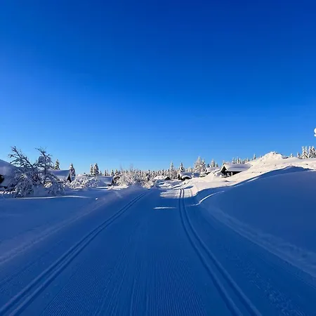 Ferienhaus Koselig - Trysilfjellet Naert Til Sykkel- Og Turstier - 4 Soverom, 2 Bad, Badstue, Fiber Bredband Og Elbillader Trysil