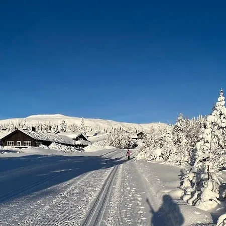 Koselig - Trysilfjellet Naert Til Sykkel- Og Turstier - 4 Soverom, 2 Bad, Badstue, Fiber Bredband Og Elbillader