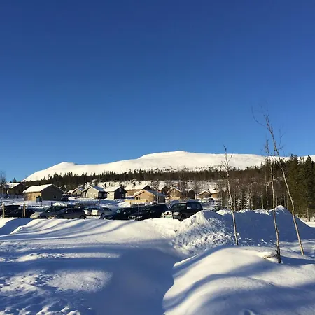 Dom wakacyjny Koselig - Trysilfjellet In Og Out 4 Soverom, 2 Bad, Badstue, Fiber Bredband Og Elbillader Trysil