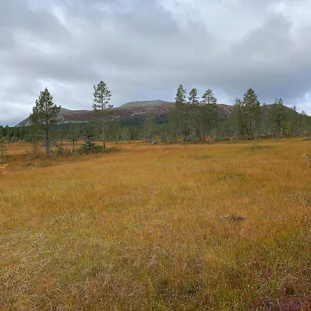 Ferienhaus Koselig - Trysilfjellet Naert Til Sykkel- Og Turstier - 4 Soverom, 2 Bad, Badstue, Fiber Bredband Og Elbillader *