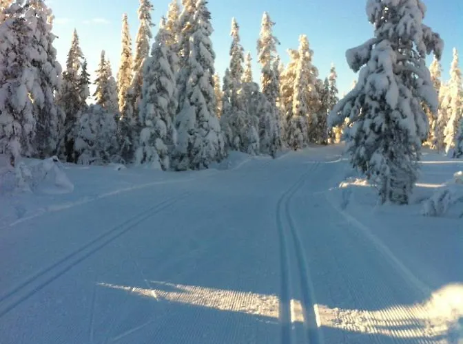 Dom wakacyjny Koselig - Trysilfjellet In Og Out 4 Soverom, 2 Bad, Badstue, Fiber Bredband Og Elbillader *