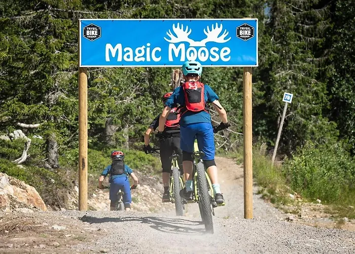 Feriehus Koselig - Trysilfjellet Nært Til Sykkel- Og Turstier - 4 Soverom, 2 Bad, Badstue, Fiber Bredbånd Og Elbillader *