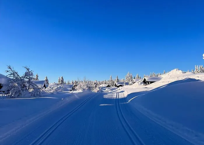 Dom wakacyjny Koselig - Trysilfjellet In Og Out 4 Soverom, 2 Bad, Badstue, Fiber Bredband Og Elbillader Trysil