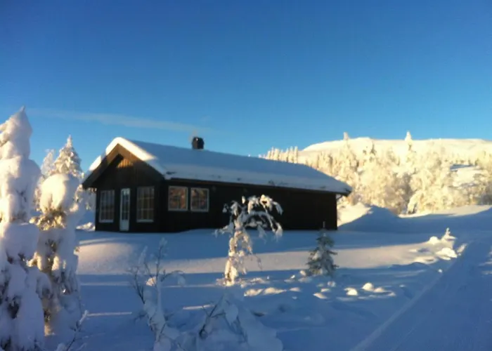 Koselig - Trysilfjellet In Og Out 4 Soverom, 2 Bad, Badstue, Fiber Bredband Og Elbillader *