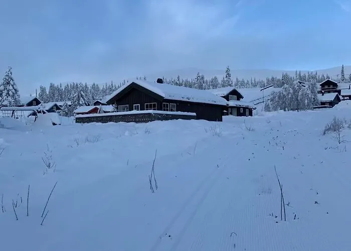 Koselig - Trysilfjellet In Og Out 4 Soverom, 2 Bad, Badstue, Fiber Bredband Og Elbillader Dom wakacyjny