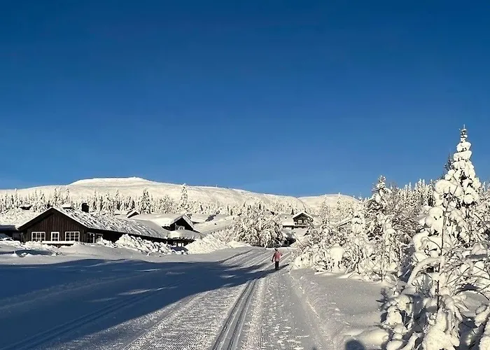 Koselig - Trysilfjellet In Og Out 4 Soverom, 2 Bad, Badstue, Fiber Bredband Og Elbillader