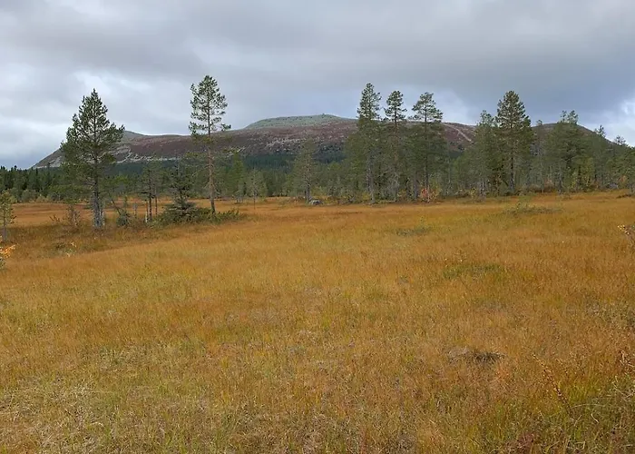 Feriehus Koselig - Trysilfjellet Nært Til Sykkel- Og Turstier - 4 Soverom, 2 Bad, Badstue, Fiber Bredbånd Og Elbillader *